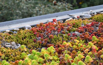 the cost of Warren green roof installation