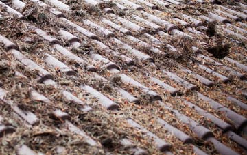 Warren roof cleaning companies